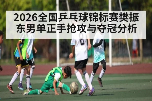 2026全国乒乓球锦标赛樊振东男单正手抢攻与夺冠分析